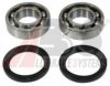 A.B.S. 200503 Wheel Bearing Kit